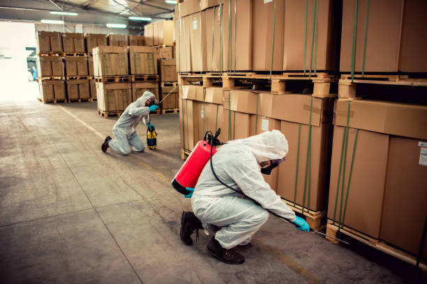 Best Bed Bug Extermination  in Menlo Park, CA