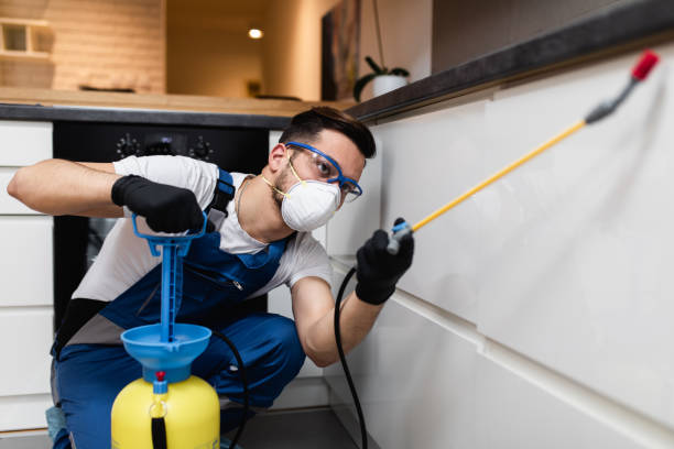 Best Pest Control Near Me  in Menlo Park, CA