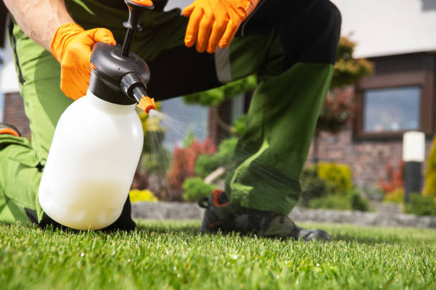 Best Affordable Pest Control Services  in Menlo Park, CA