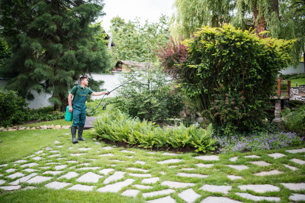 Best Rodent Control Near Me  in Menlo Park, CA