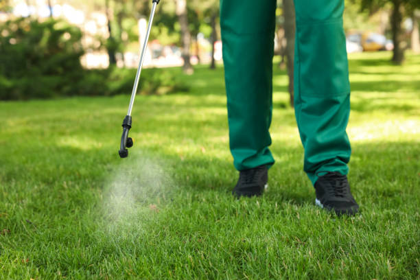 Best Ant Control Services  in Menlo Park, CA