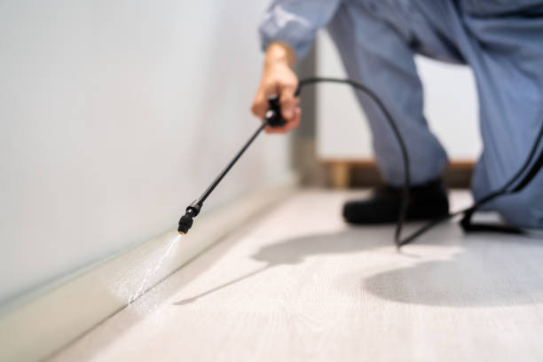 Best Flea Control Services  in Menlo Park, CA