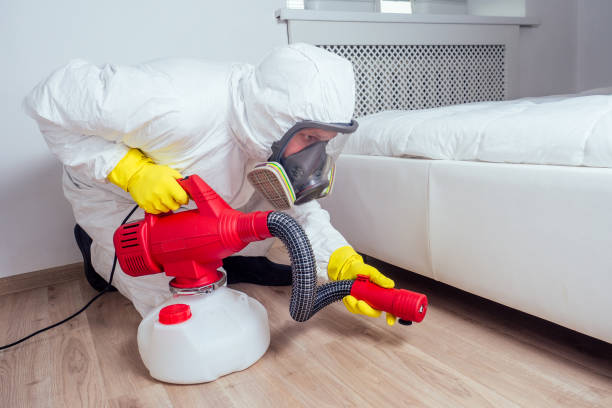 Best Spider Control Near Me  in Menlo Park, CA