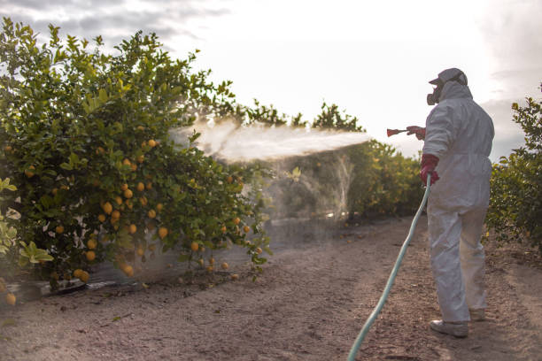 Best Pest Inspection Near Me  in Menlo Park, CA