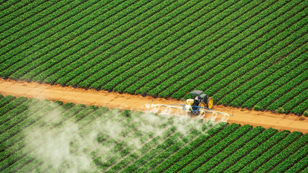 Best Pest Removal Services  in Menlo Park, CA
