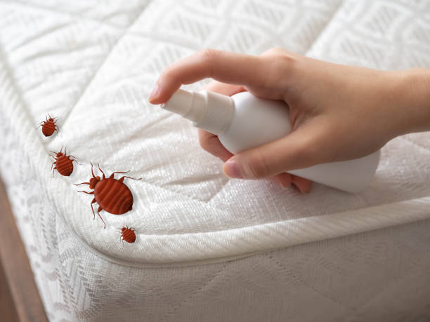 Best Pest Prevention Services  in Menlo Park, CA