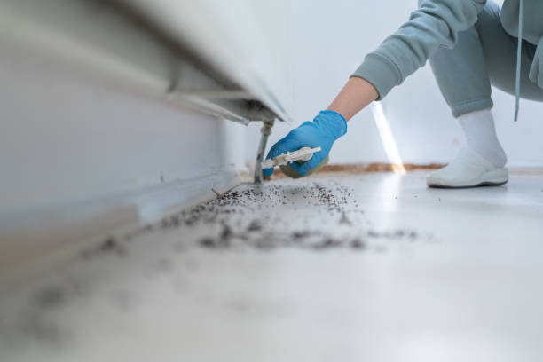 Best Pest Removal Services  in Menlo Park, CA